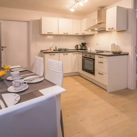 Tara ヴルブニク