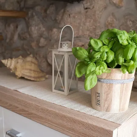 Διαμέρισμα Tara *